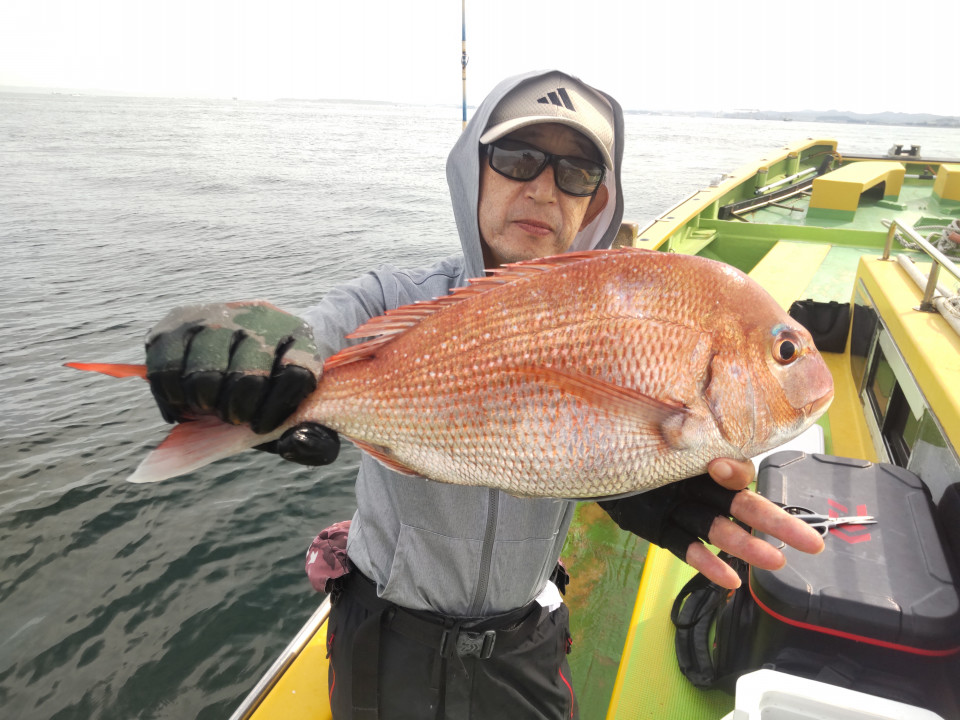 マダイ0.4~1.5kg 0‐3枚