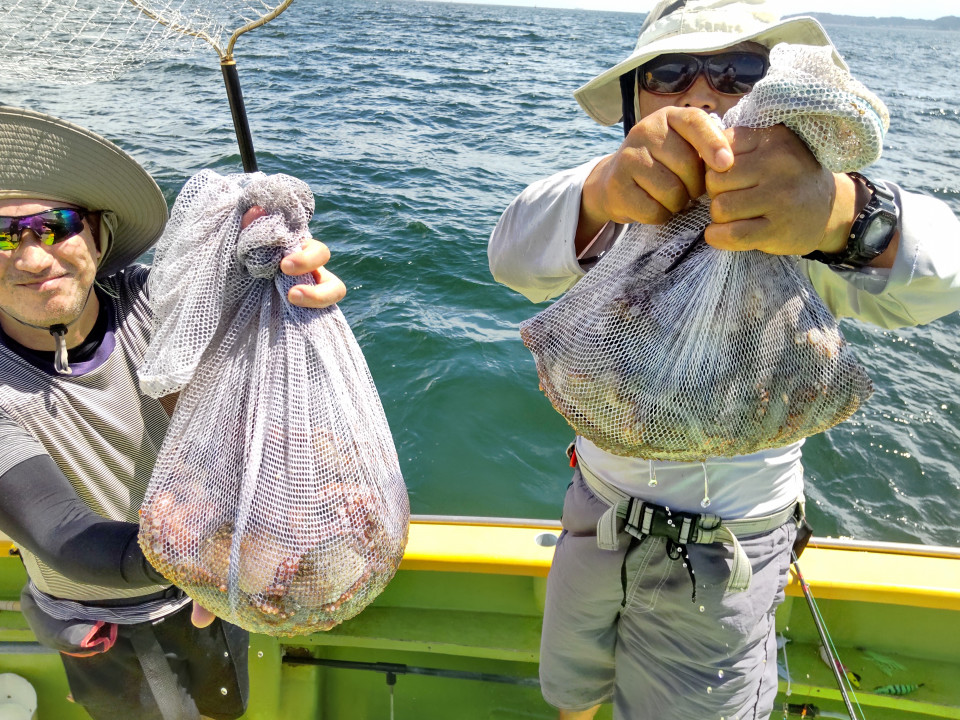 マダコ0.3~1.2kg 2‐10