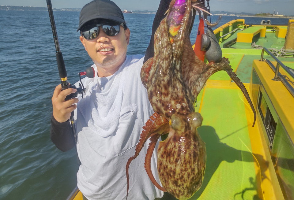 マダコ0.3~1kg 4‐6杯