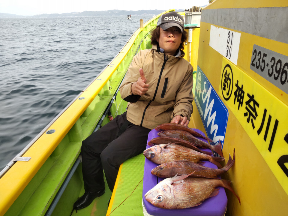 マダイ0.5~2.2kg 1―6枚