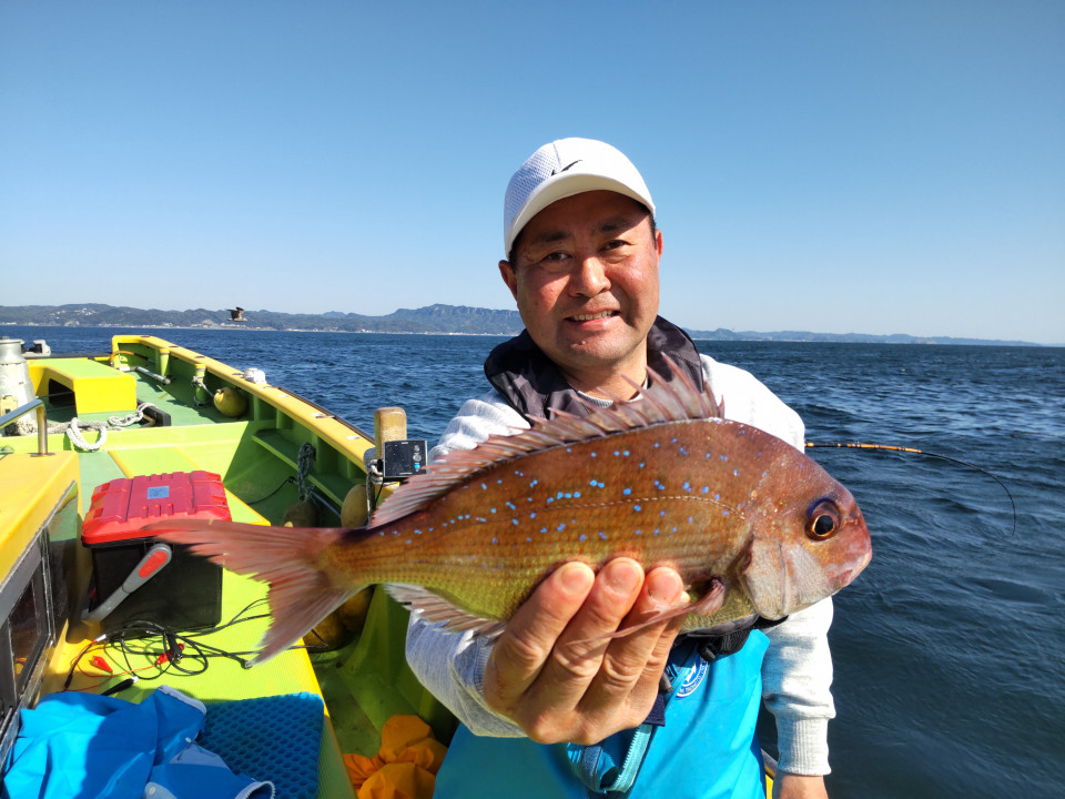 マダイ400~600g 0―1枚