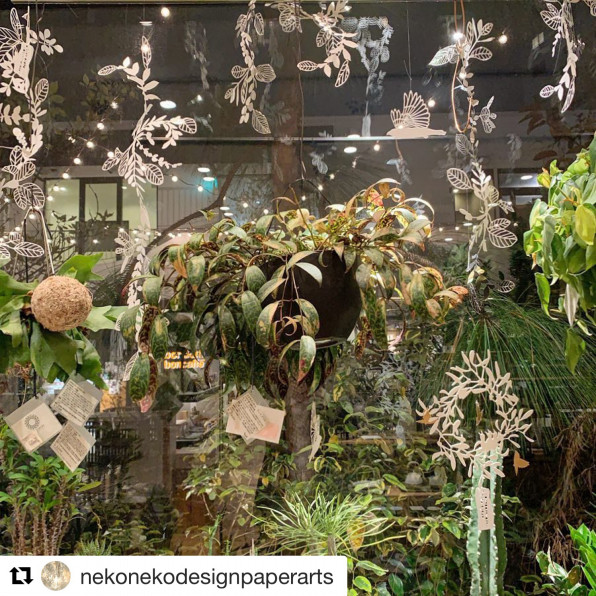 Tenoha代官山 母の日 ワークショップのお知らせ Nekonekodesign Paper Arts Tenoha代官山 母の日 ワークショップのお知らせ Nekonekodesign Paper Arts