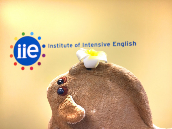 カレイちゃん英語スタディinハワイ語学学校 ヌイグルミスト スズキミ S Blog カレイちゃん英語スタディinハワイ語学学校 ヌイグルミスト スズキミ S Blog