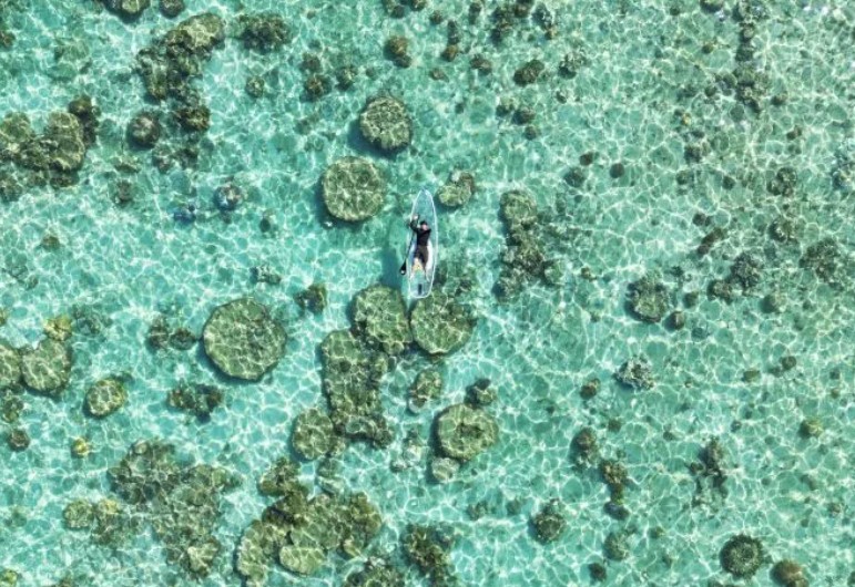 pilates studio in motion