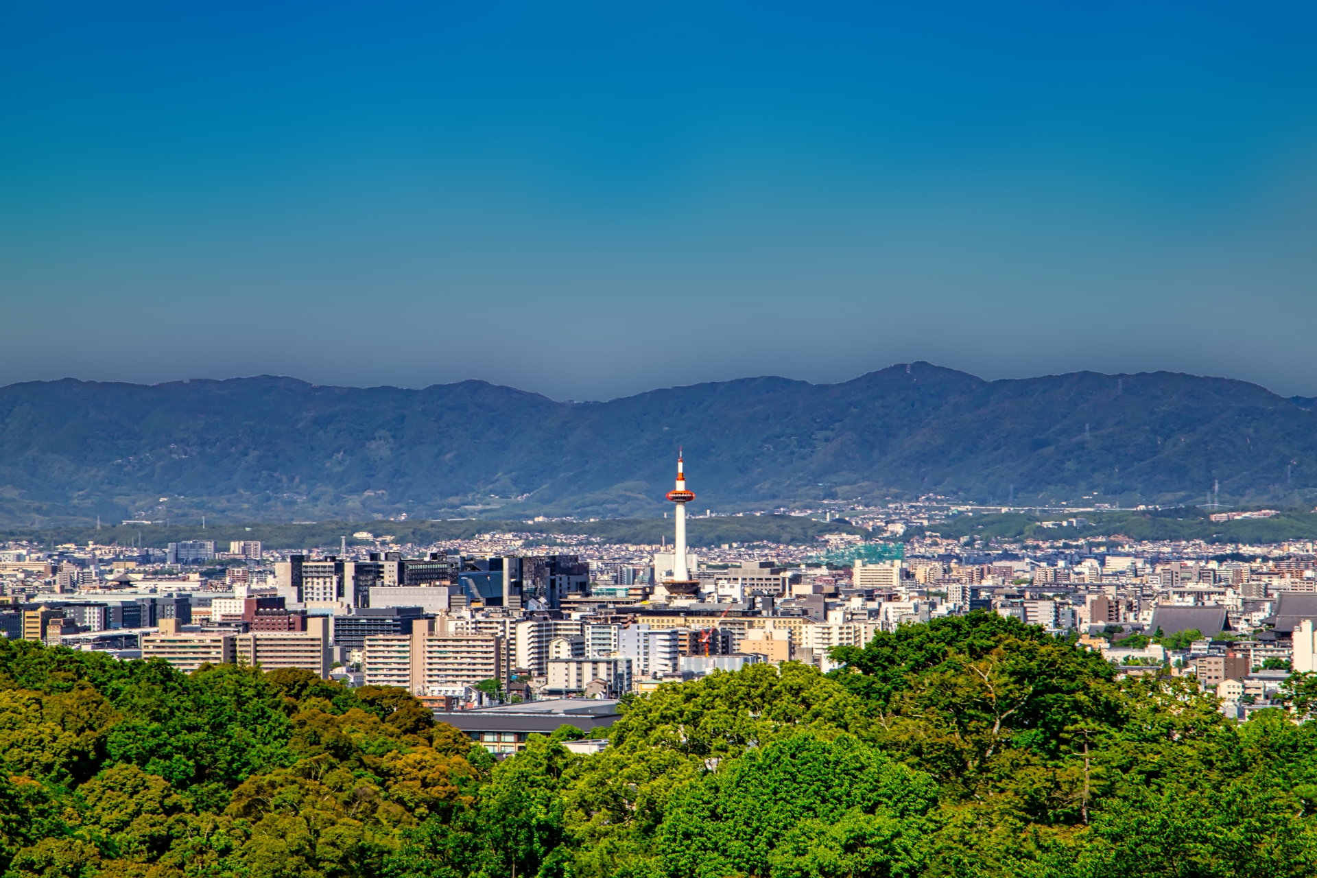事業内容 株式会社SAKURAコーポレーション