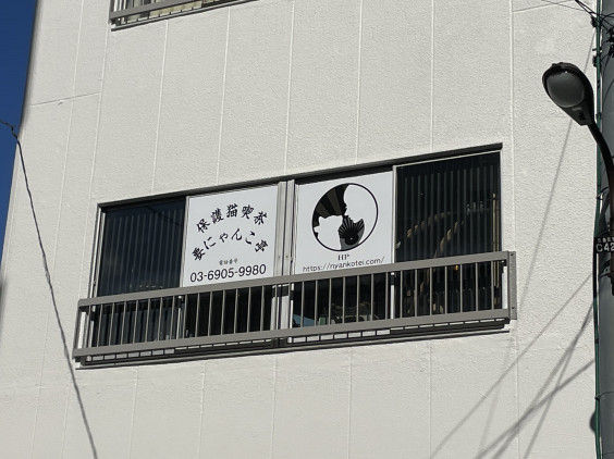 保護猫喫茶 要にゃんこ亭 取材 夢心 Yumegokoro 保護猫喫茶 要にゃんこ亭 取材 夢心 Yumegokoro