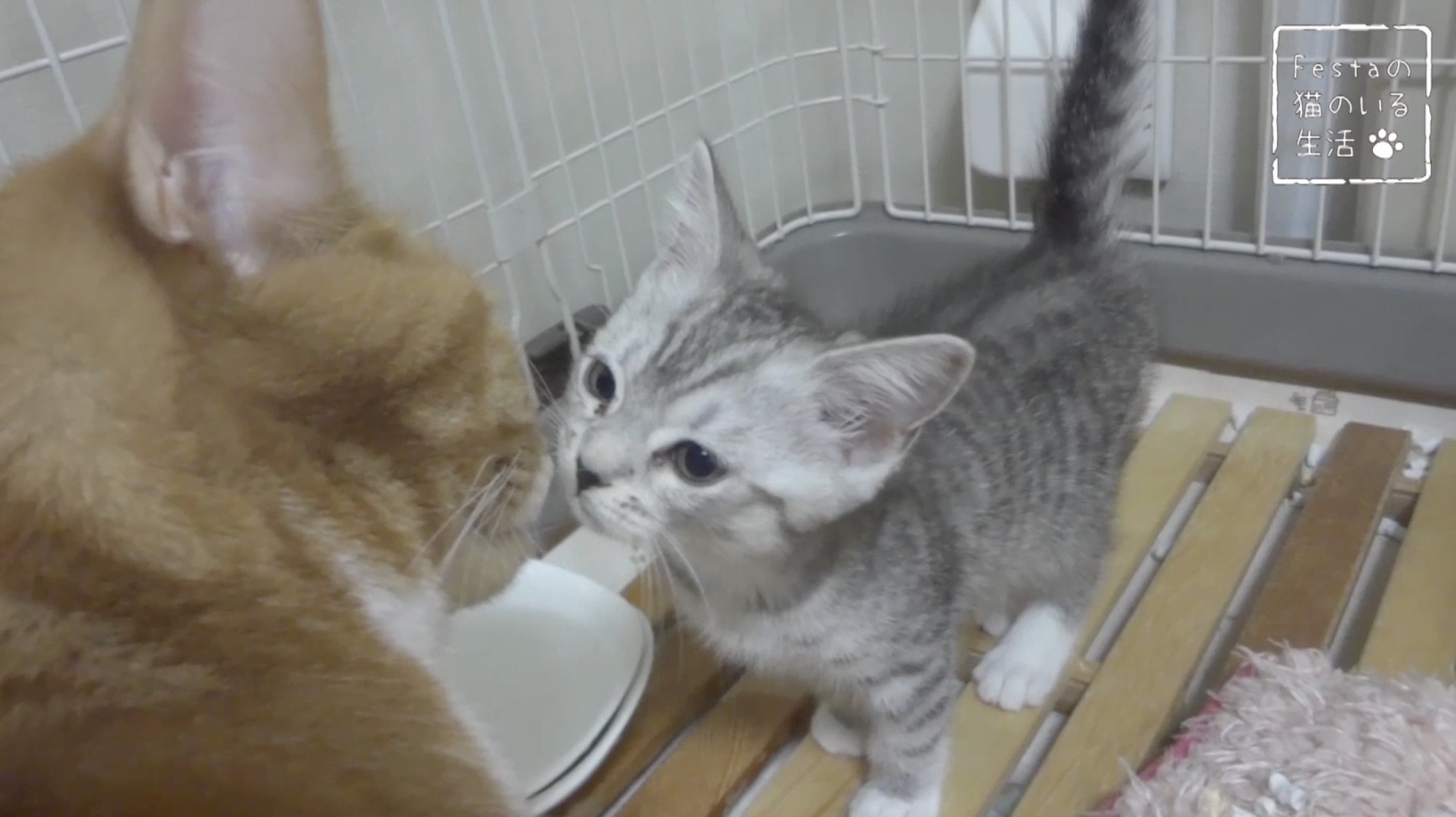 ニュース画像