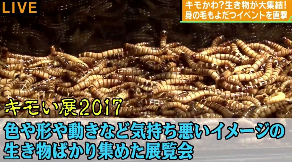 ニュース画像