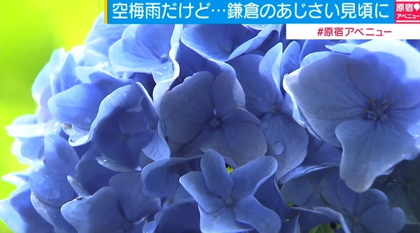 ニュース画像