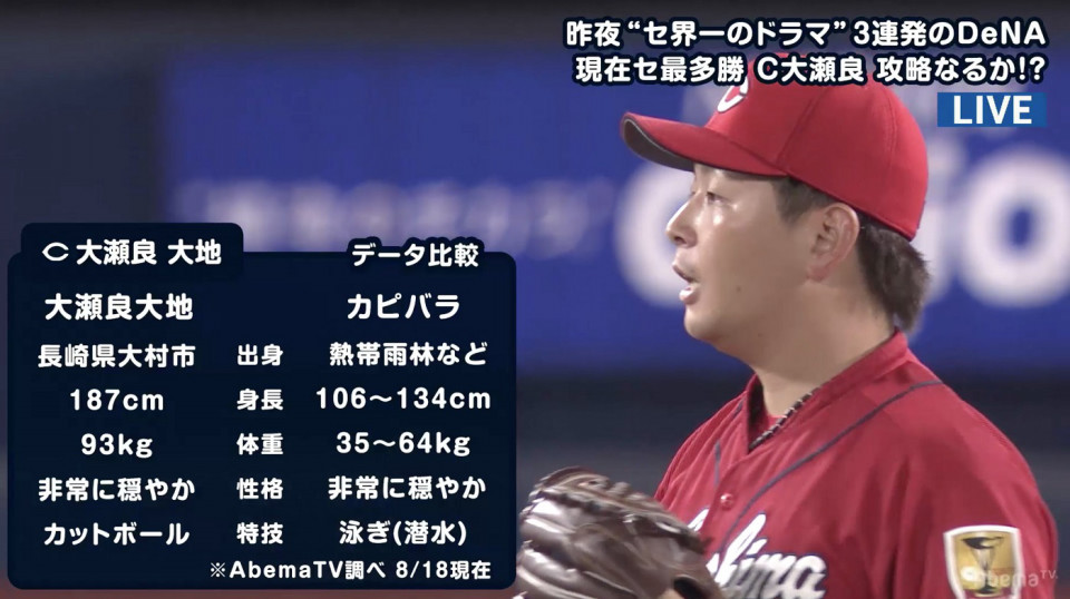 広島 カピバラ3兄弟 大瀬良とカピバラを比較 ファンから 性格は分かるｗ の声 プロ野球ライフ