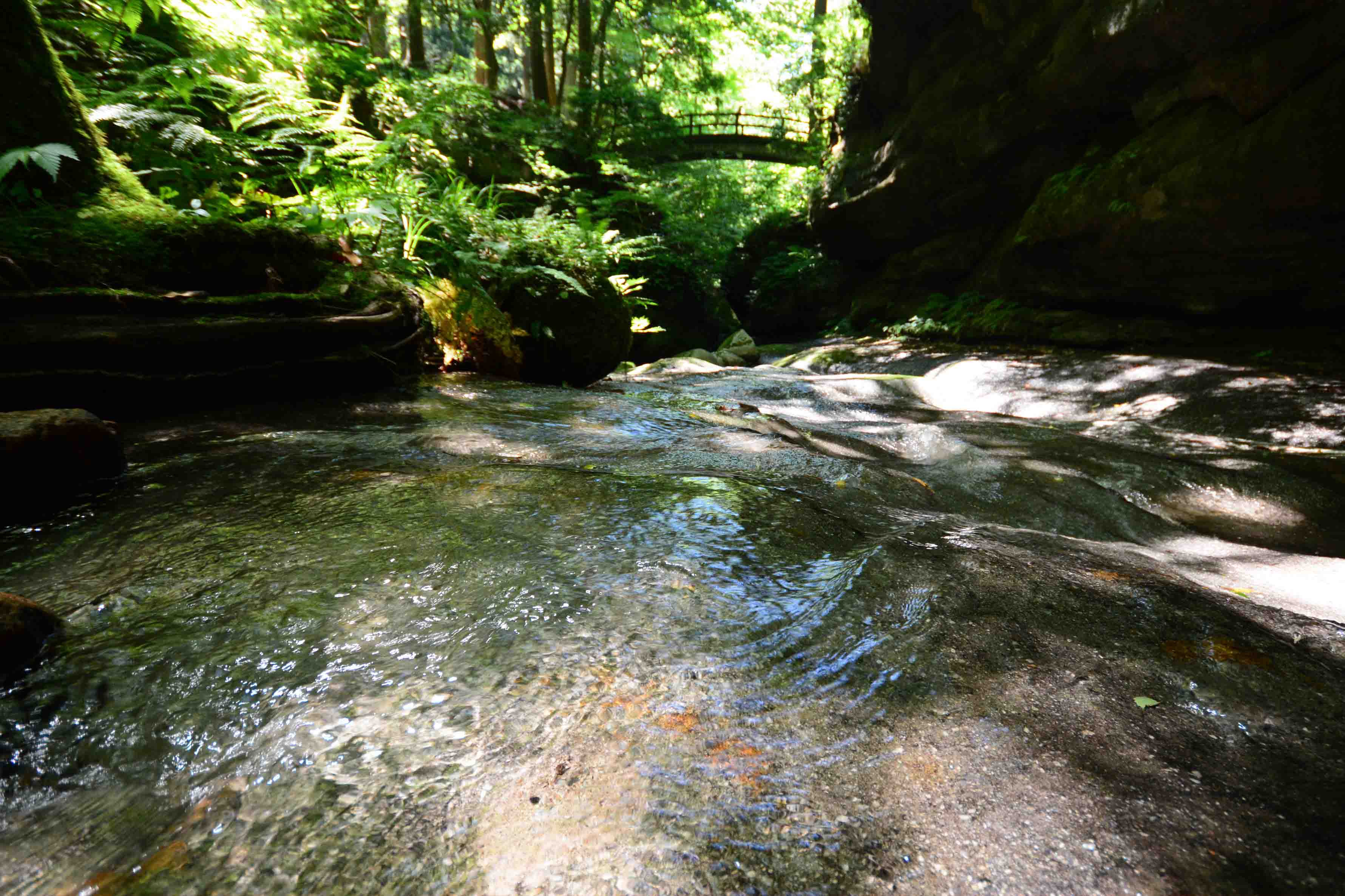 22年7月3日 夏 清涼感あふれる剣龍峡へ | 荒川剣龍峡・荒川集落公式ホームページ