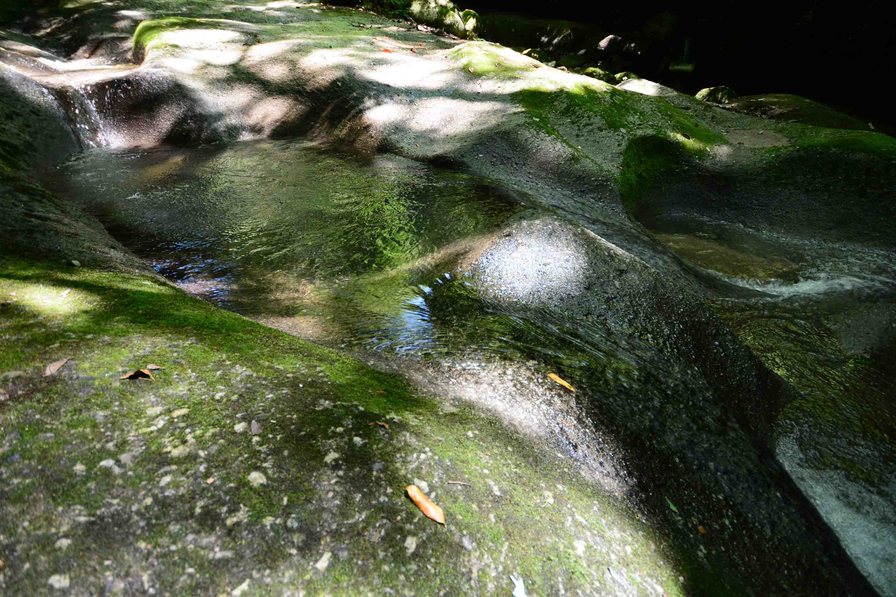 22年7月3日 夏 清涼感あふれる剣龍峡へ | 荒川剣龍峡・荒川集落公式ホームページ