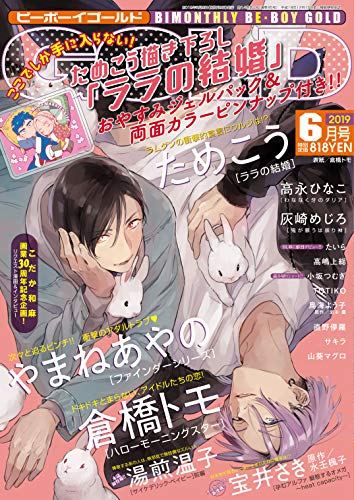 Be Boy Gold ビーボーイゴールド 19年 06月号 雑誌 Mobiダウンロード Melyna Library 21