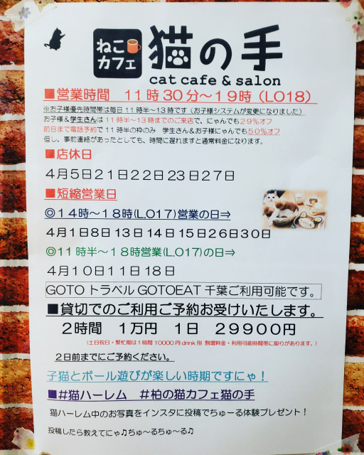 猫雑貨と猫カフェのお店 猫の手 柏