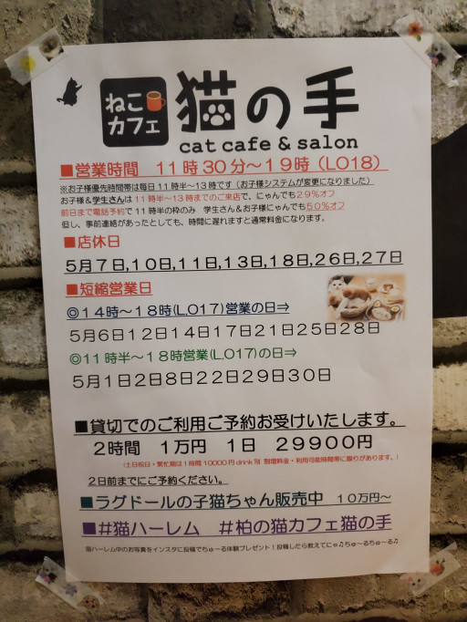 猫雑貨と猫カフェのお店 猫の手 柏