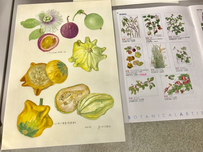 美しく 細密に 江藤華のワクワク るんるん 学苑日記