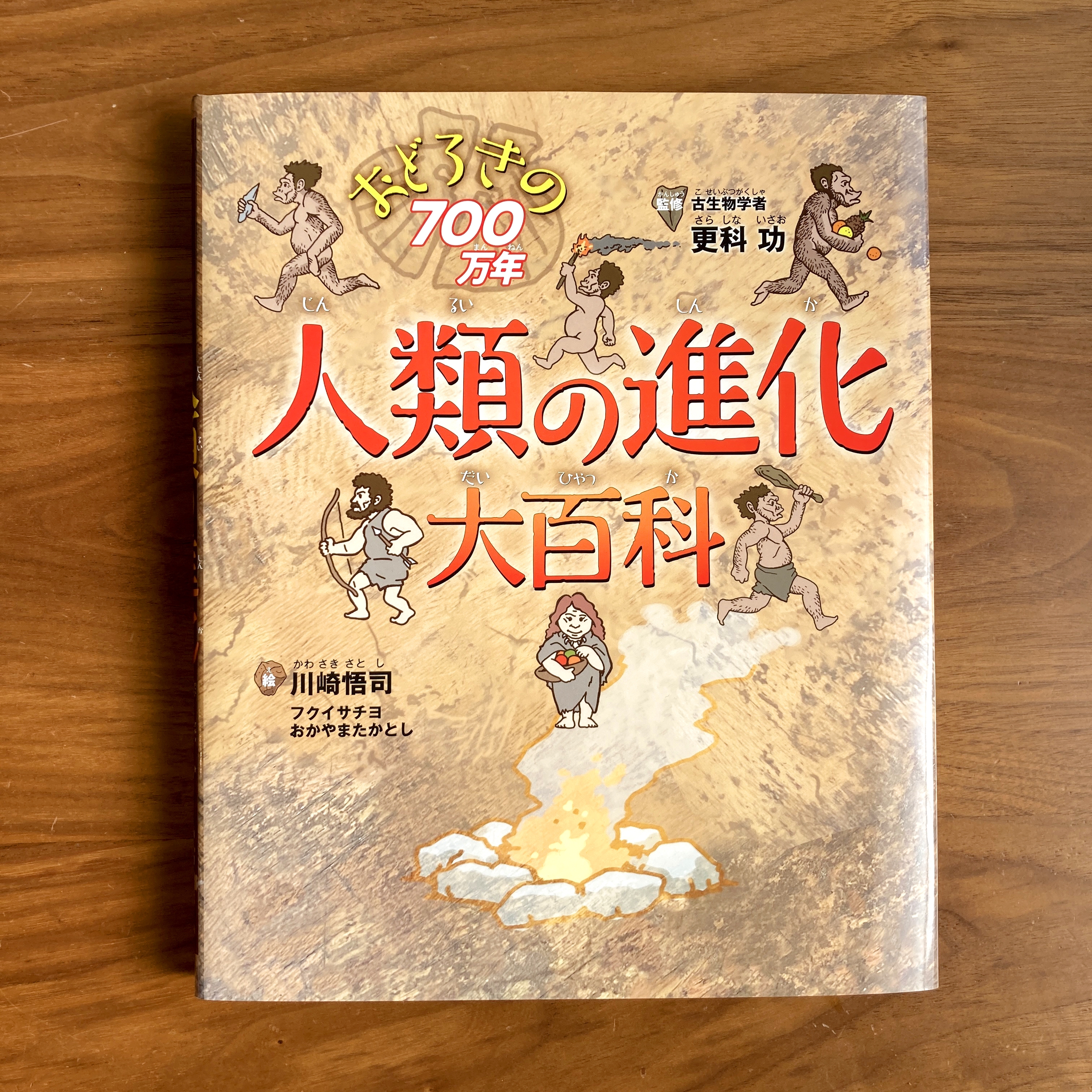 注目の福袋をピックアップ！ 人類の進化大百科 今日も明日も/人類の進化 本