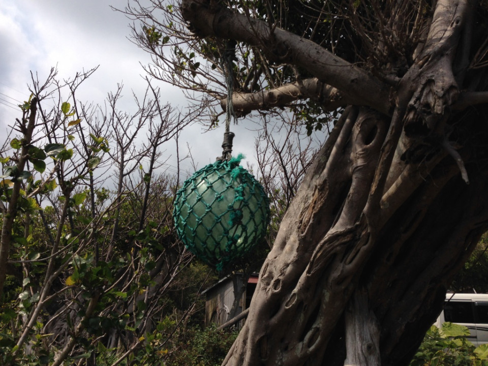 海によくあるガラスのボールの正体は 屋久島 民宿すぎのこ