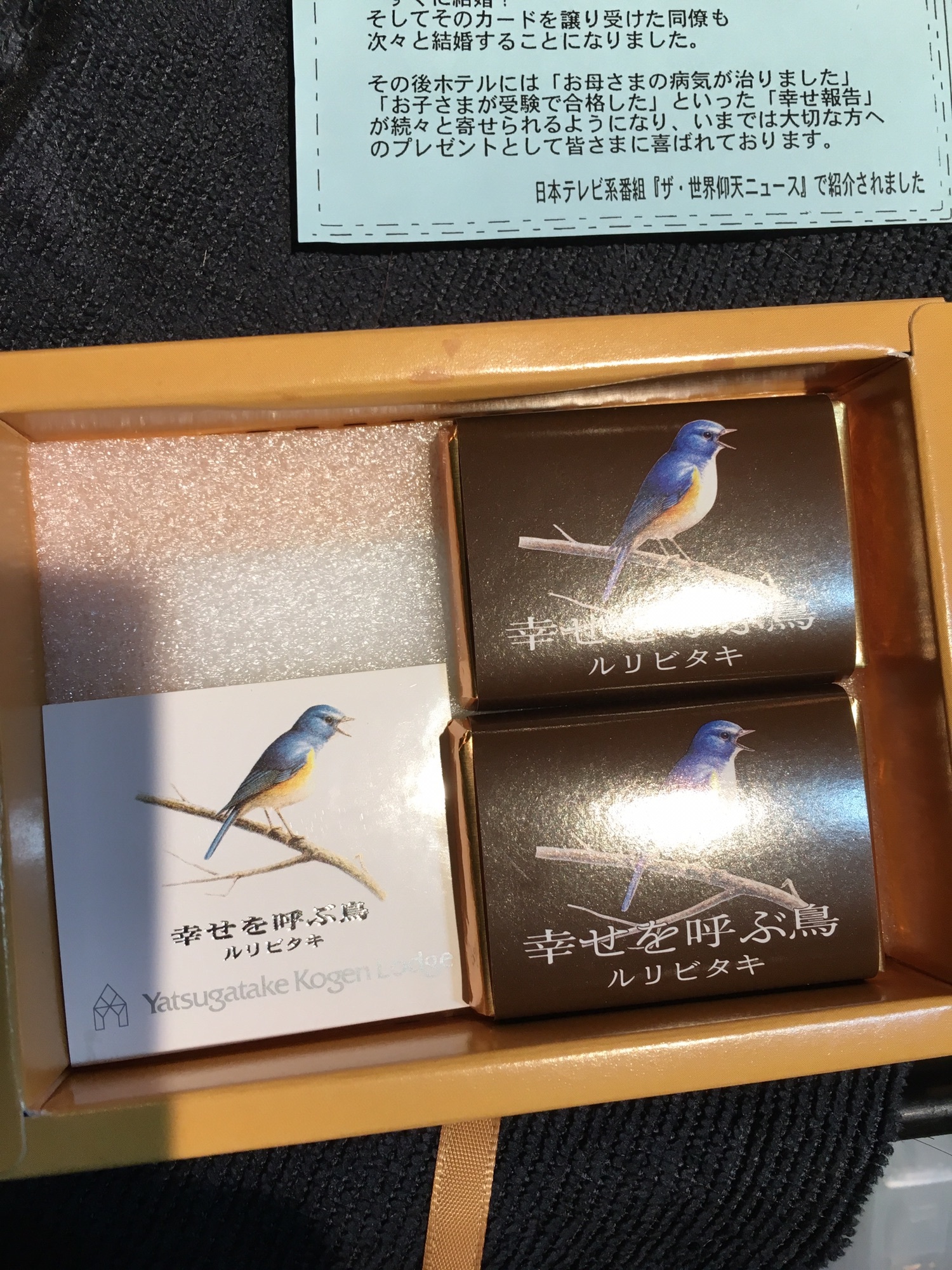 幸せを呼ぶ青い鳥 | magnifique hair stylist 増田 広道