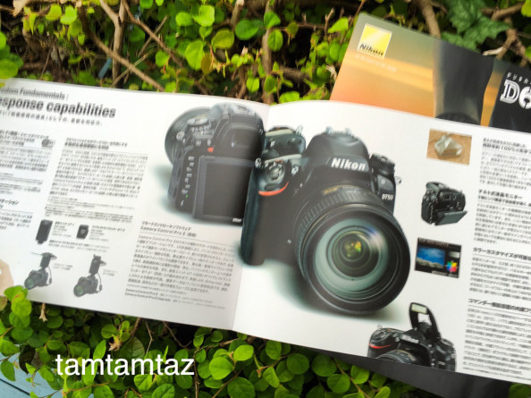 攻めよ 表現者 我が道をいく Filiataz 英語レッスン 山口県光市 英検 通訳翻訳