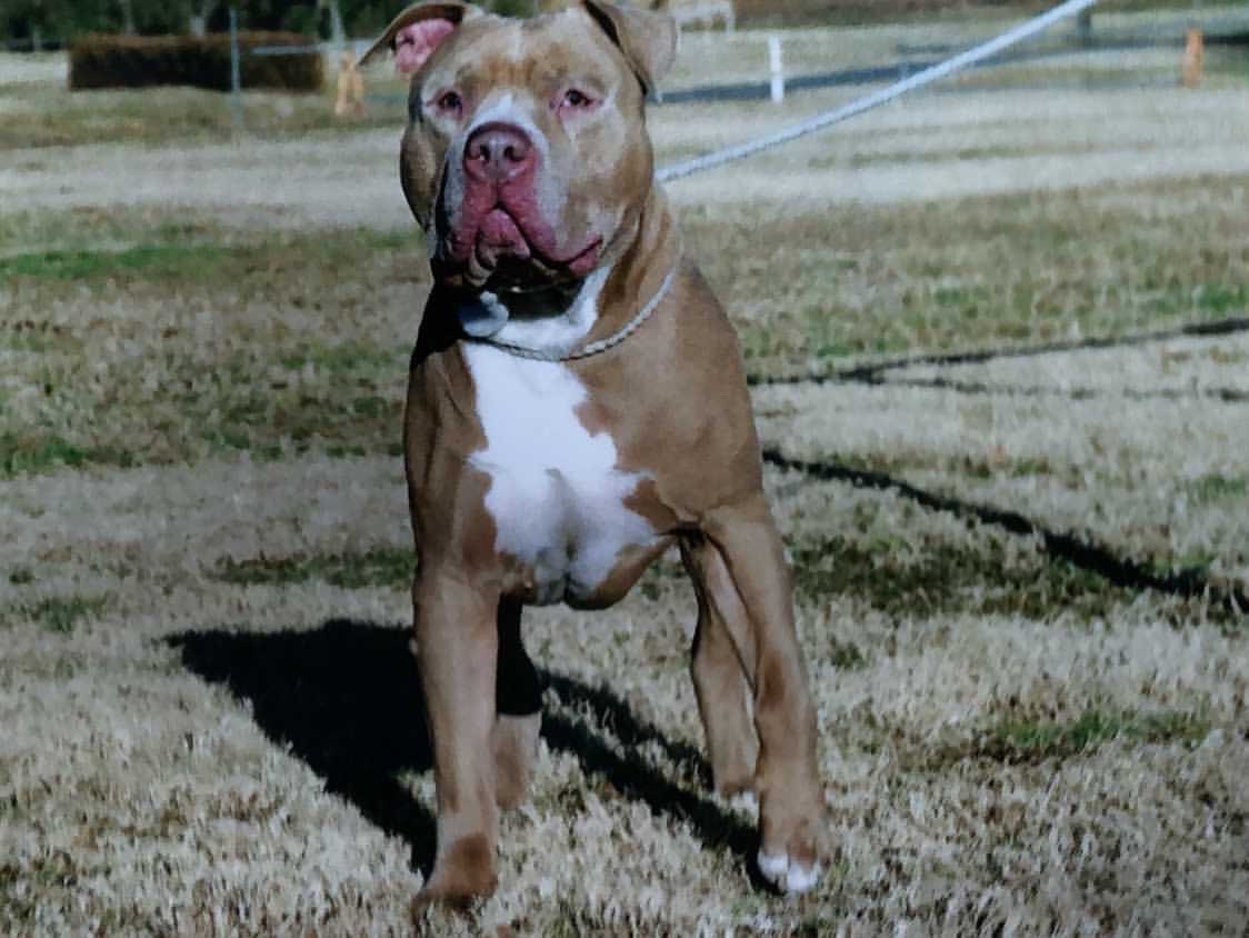 584cb5e438b08f85a9db288a71a2e2