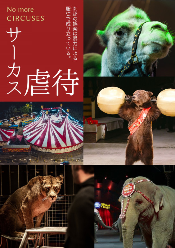 Home News Hpについて コラム Home News Hpについて コラム