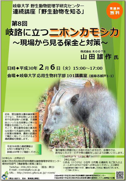 野生動物を知る 第8回ニホンカモシカ 日々のおやじとお山