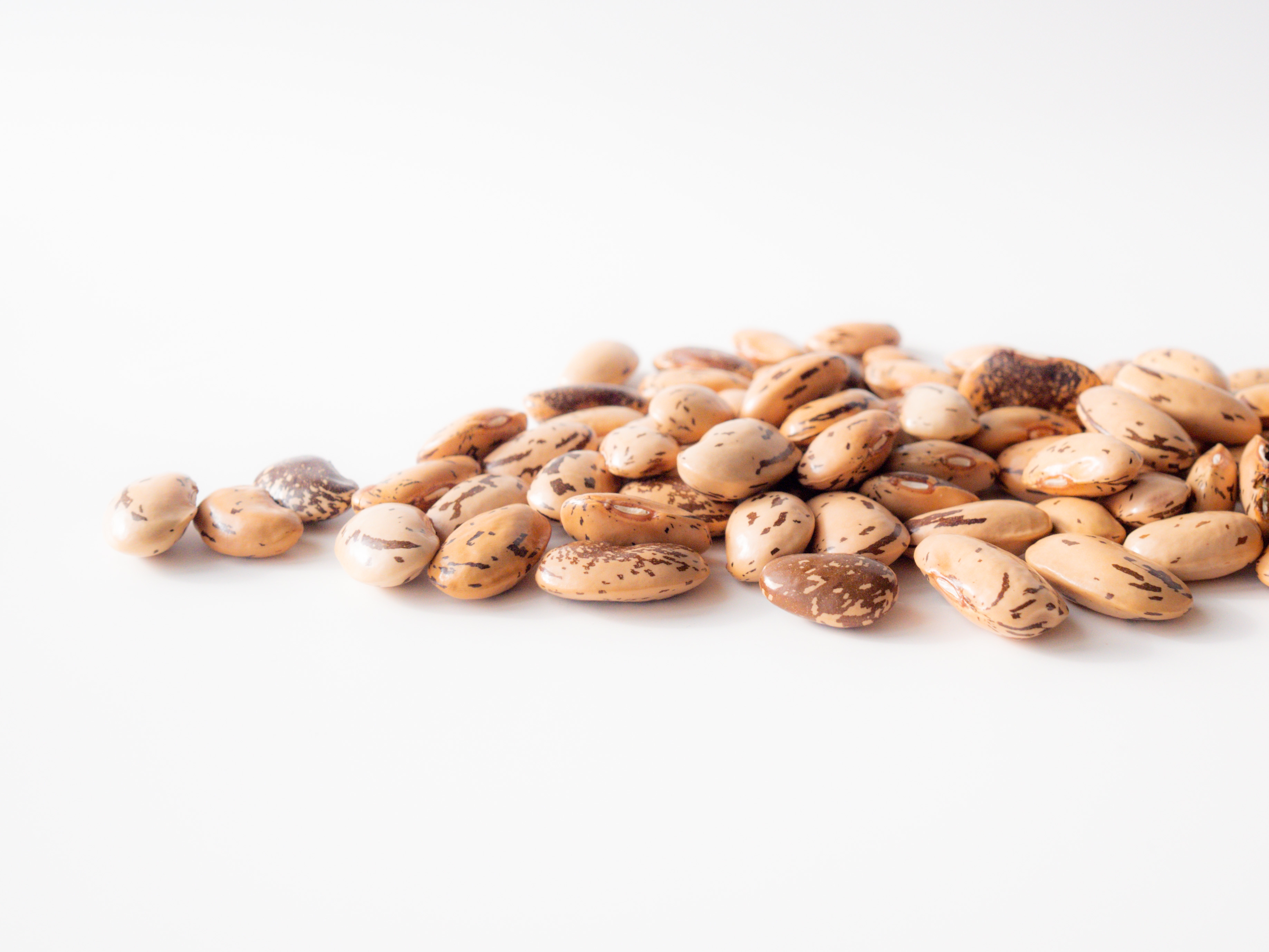 黒豆様専用 豆様専用 くろまめさま専用 黒豆様専用！ 丹波黒大豆」