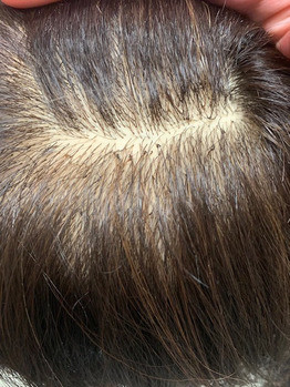 1月からスタートの新メニュー Granmash