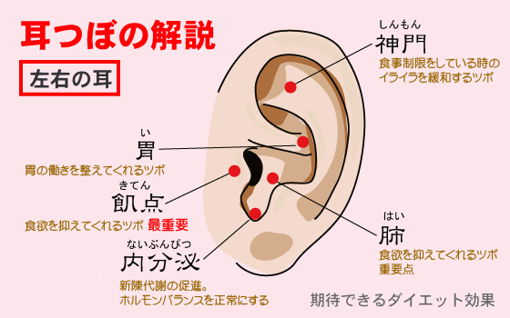 耳穴診療法 : 中国伝統医学　耳ツボ　耳つぼジュエリー 耳穴診療法 |本 | 通販 | Amazon