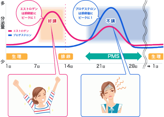 Pms 月経前症候群 はりきゅう An By 治療院 岐阜市 鍼灸院