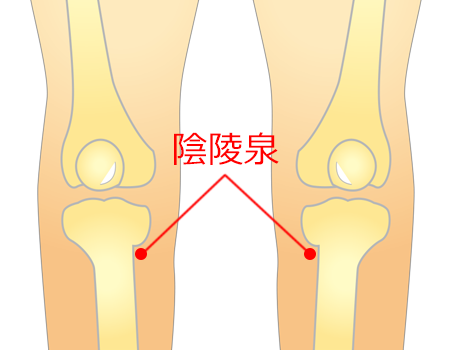 膝痛のツボ はりきゅう An By 治療院 岐阜市 鍼灸院