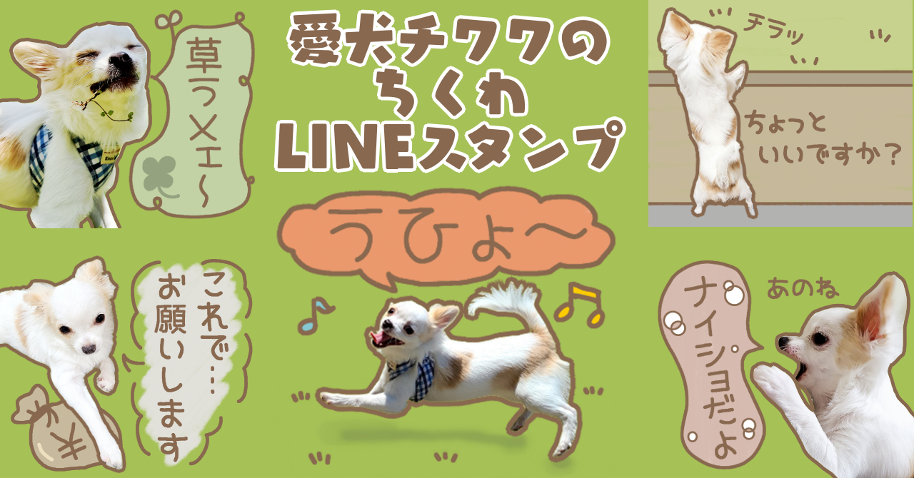 愛犬チワワのちくわ LINEスタンプ | Mochachiku