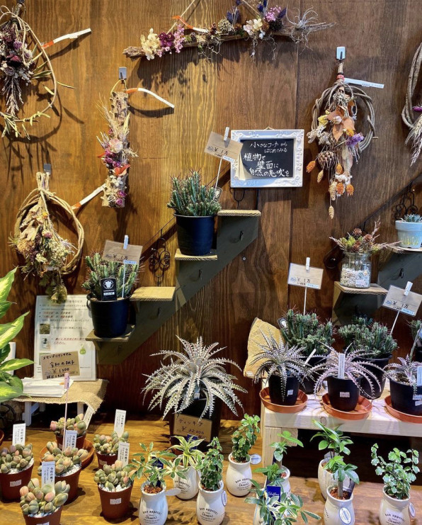 加盟店舗紹介 花びぜん 御花印帳 Ohanaincho