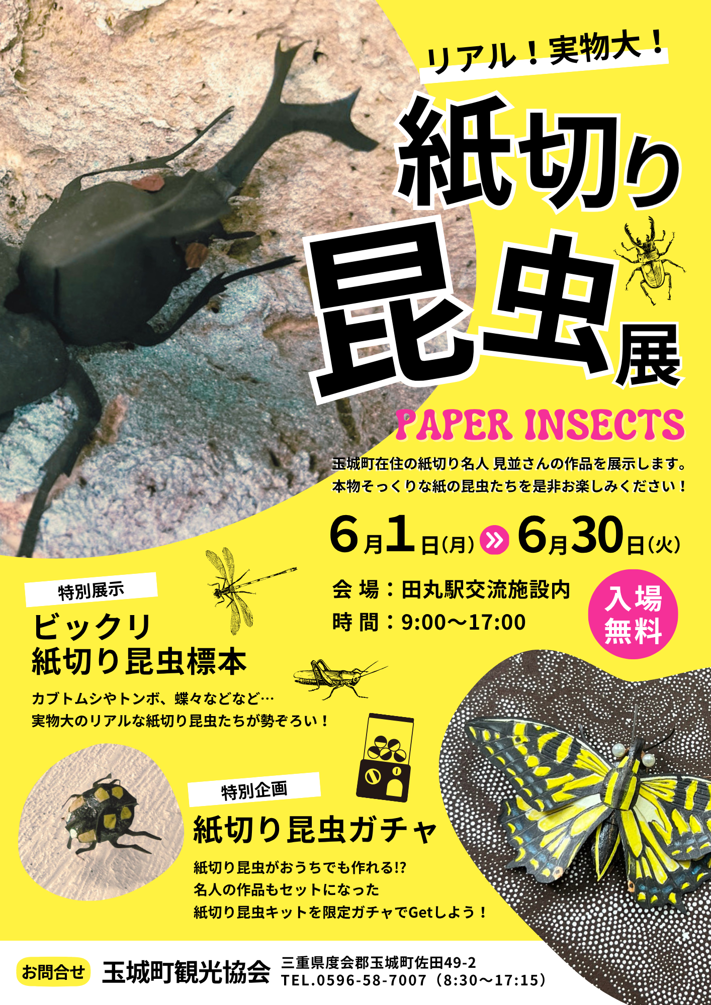 菊と近寄る昆虫 🐜紙切り昆虫展開催🐞 | 玉城町観光協会