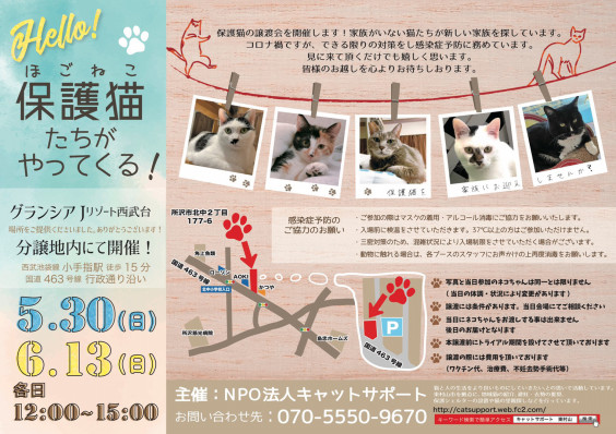 お知らせ 猫カフェ Funnycat お知らせ 猫カフェ Funnycat
