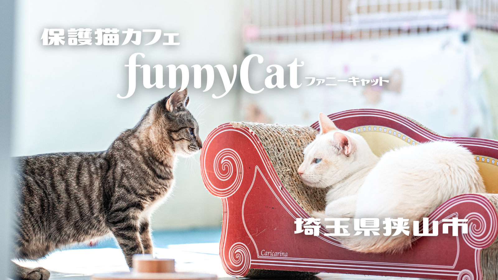 Funnycat 狭山市