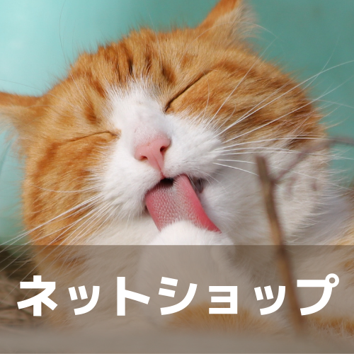 猫カフェ Funnycat 猫カフェ Funnycat