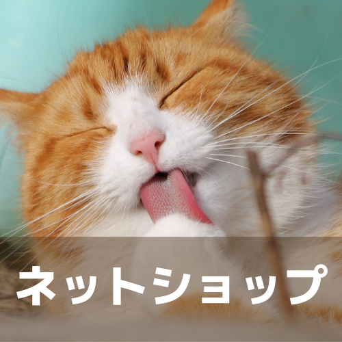 猫カフェ Funnycat