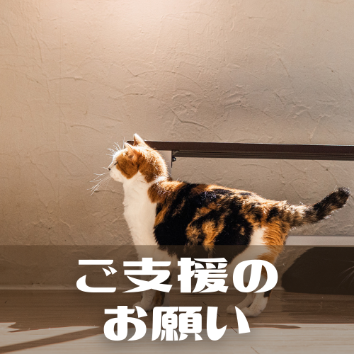 Funnycat Funnycat
