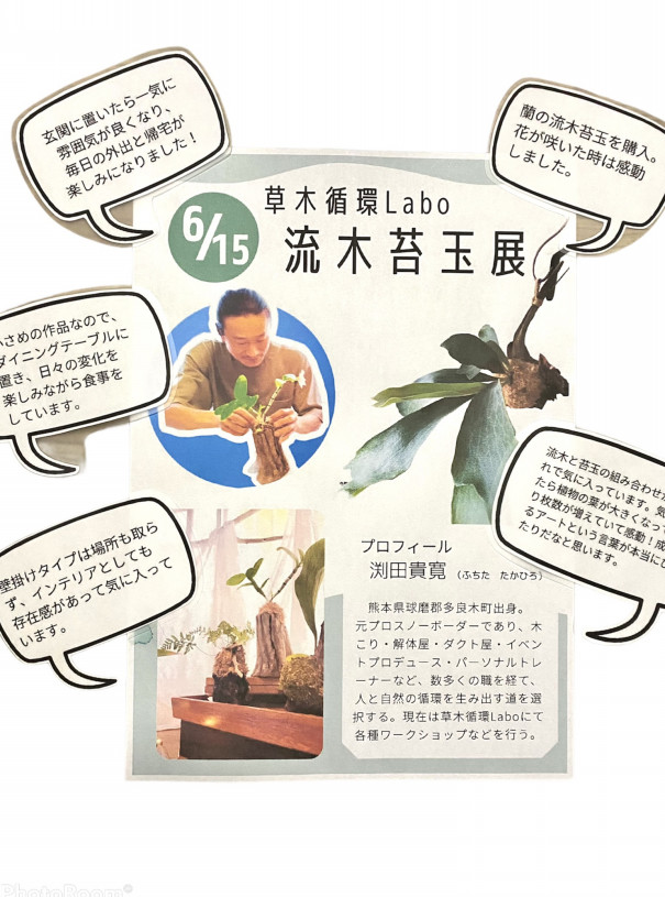 6 15 流木苔玉アート展開催 草木循環labo
