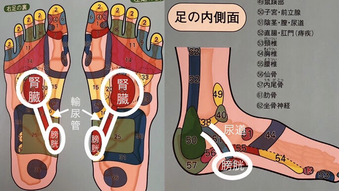 足のむくみを解消しよう 足裏 足首 ふくらはぎの揉み方 Peony 足のむくみを解消しよう 足裏 足首 ふくらはぎの揉み方 Peony