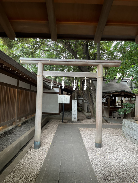 鳥居 大きく分けて2種類 たまさき 鳥居 大きく分けて2種類 たまさき