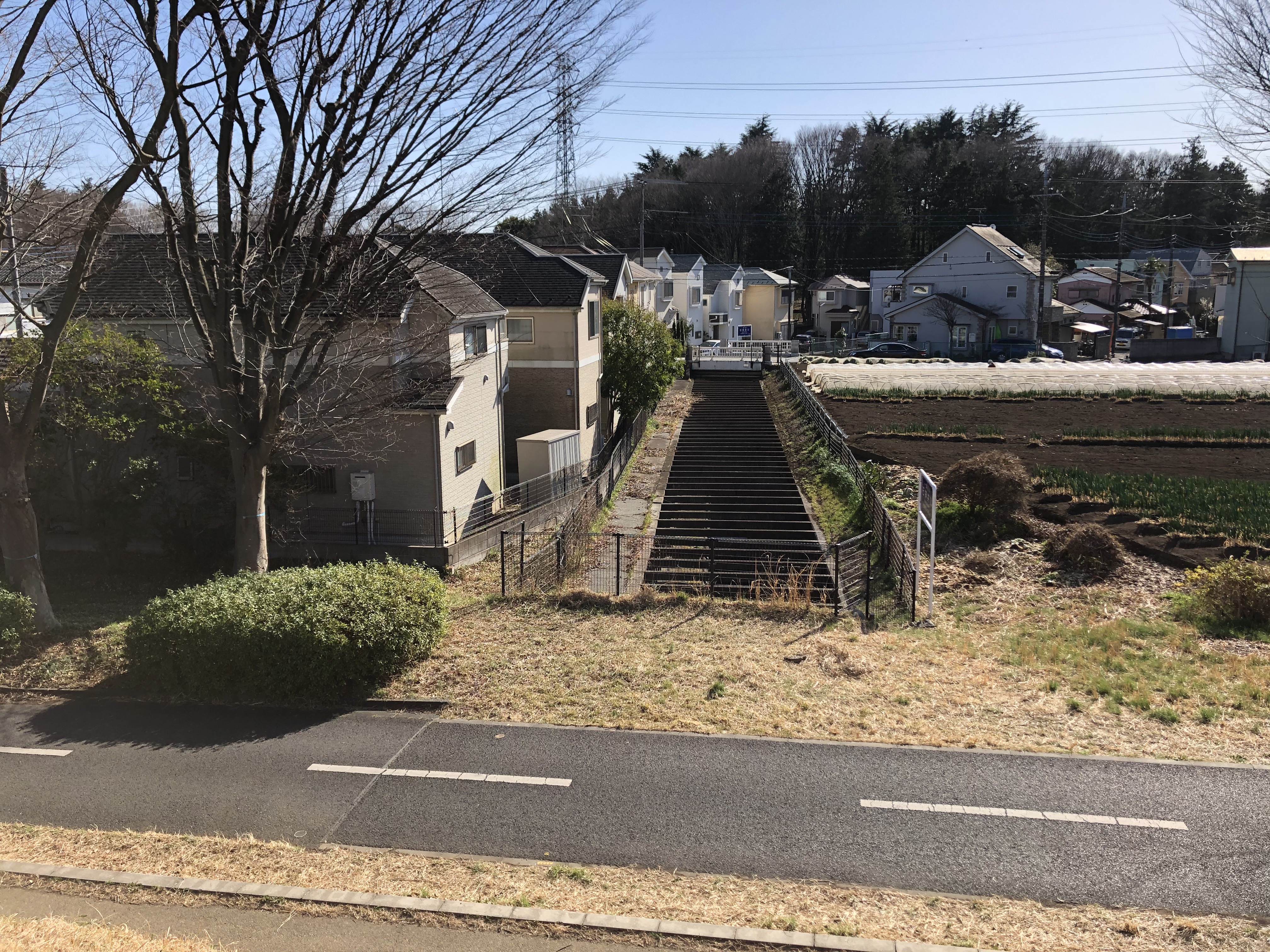 渇水期の石神井川⑤（小金井公園） | 武蔵野台地の湧き水復活を