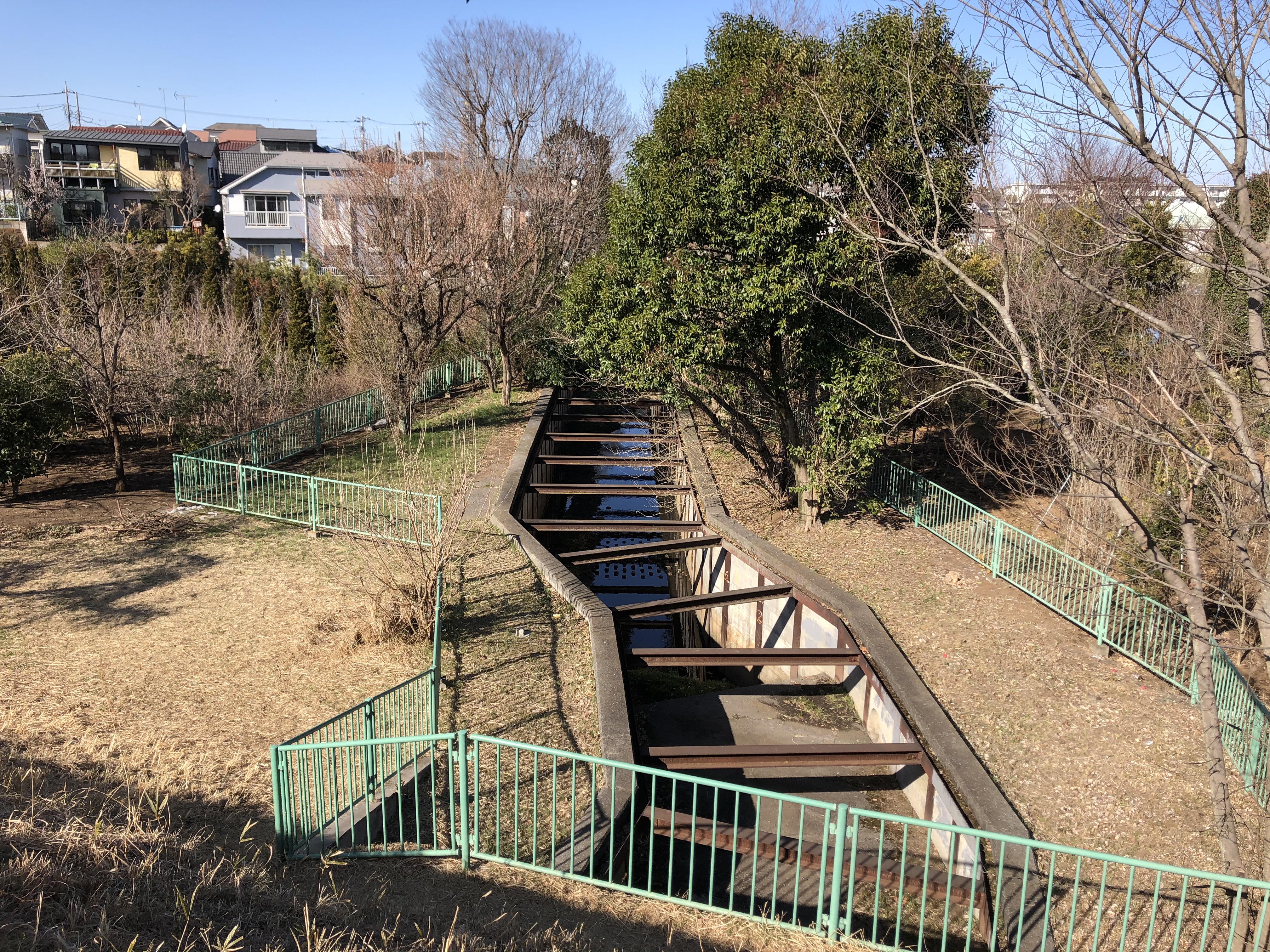 渇水期の石神井川⑤（小金井公園） | 武蔵野台地の湧き水復活を