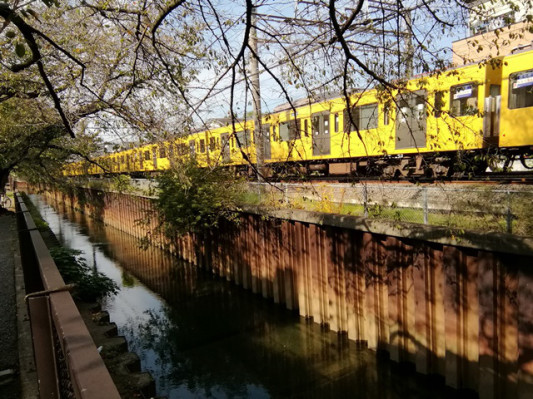 台風19号後の石神井川 富士見池 東伏見 武蔵野台地の湧き水復活を考える 外環道の開通を控え