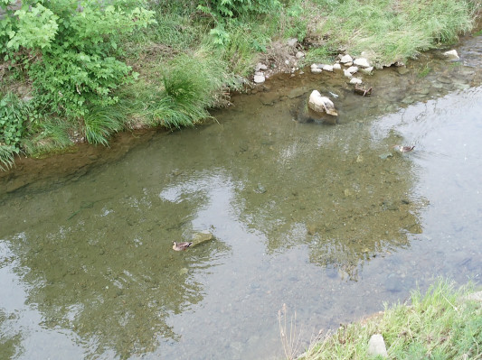 まとめ 石神井川の水はどこから来るのか 武蔵野台地の湧き水復活を考える 外環道の開通を控え