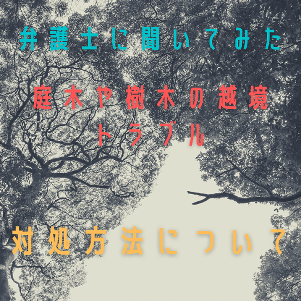 庭木や樹木の越境トラブル問題・対処方法について 弁護士に聞いてみました。 | 三重県剪定伐採専門店 剪定屋空 -サブサイト-