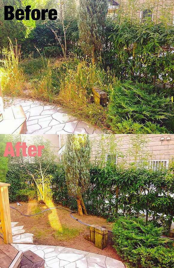 庭の雑草と対策 三重県剪定伐採専門店 剪定屋空 サブサイト