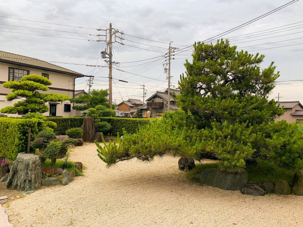 桑名市剪定 お庭お手入れ 黒松などの剪定 三重県剪定伐採専門店 剪定屋空 サブサイト